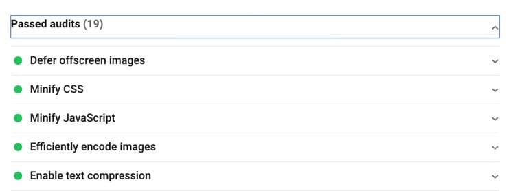 Google PageSpeed Insights Passed Audits