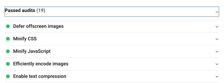 Google PageSpeed Insights Passed Audits